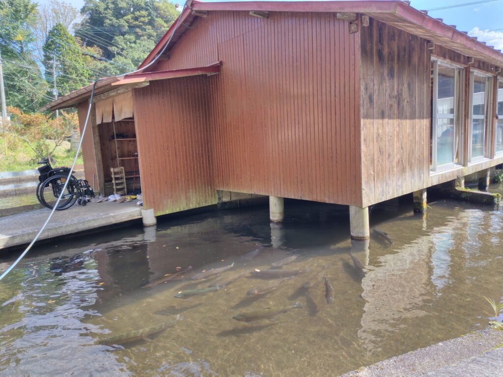 子連れ　産山水魚園　店舗全景