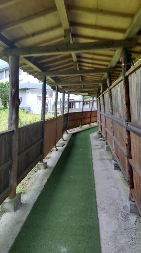 別府保養ランド　通路2