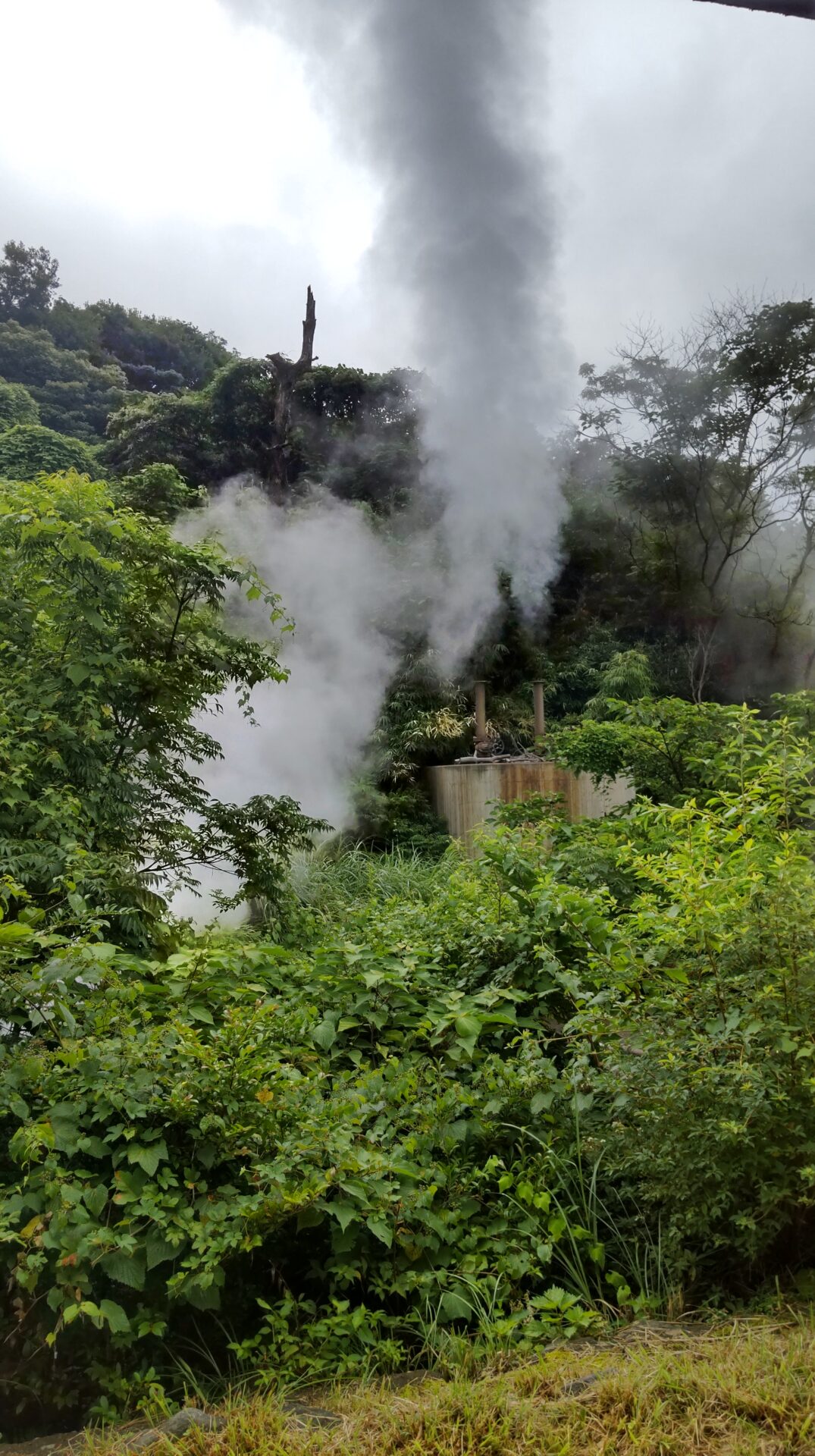別府保養ランド　外観１