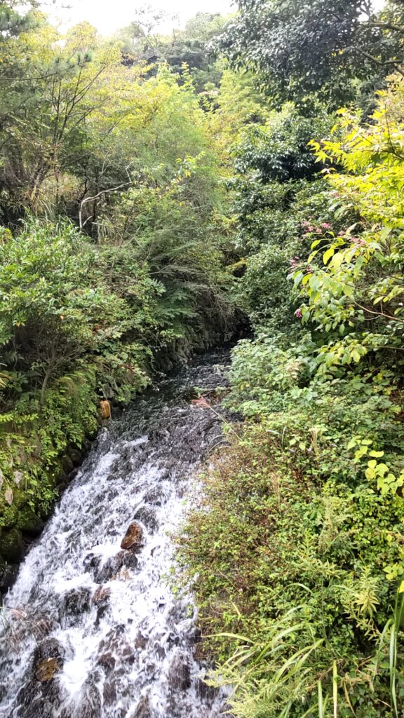 春夏秋冬 硫黄 子連れ 川