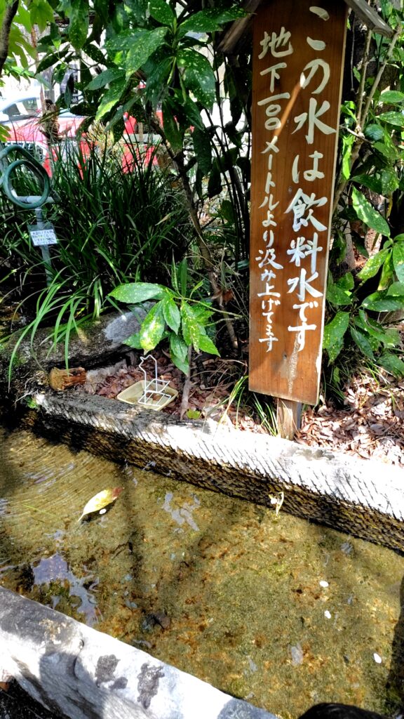 木の花ガルデン　バイキング　日田　湧水