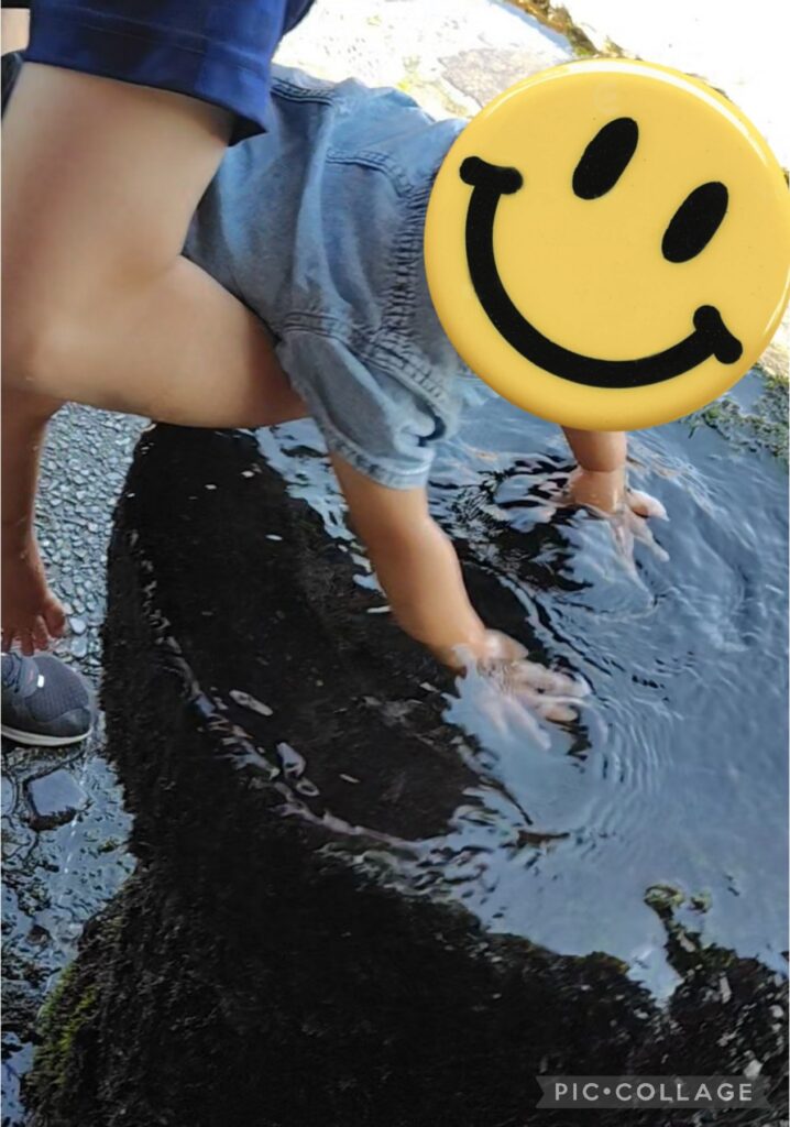 水の駅おづる　湧水茶屋　豆腐　水遊び