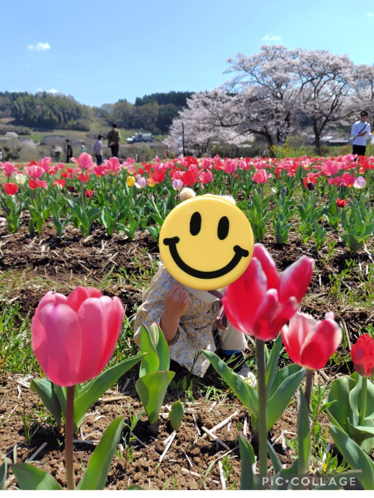 原尻の滝 チューリップフェスタ