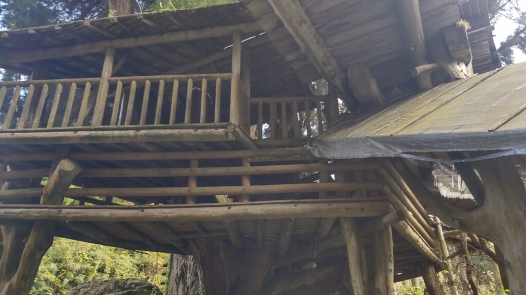 川魚料理 うまや ツリーハウス 3