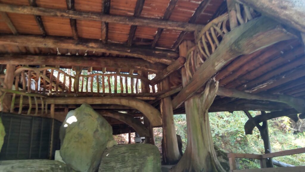 川魚料理 うまや ツリーハウス 4