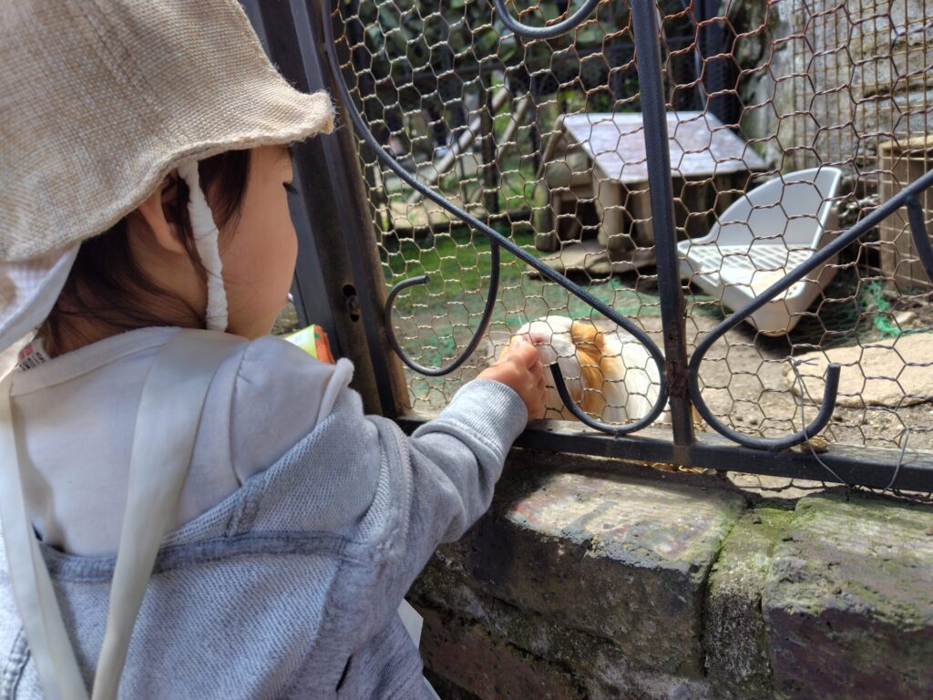 湯布院フローラルヴィレッジ 子連れ