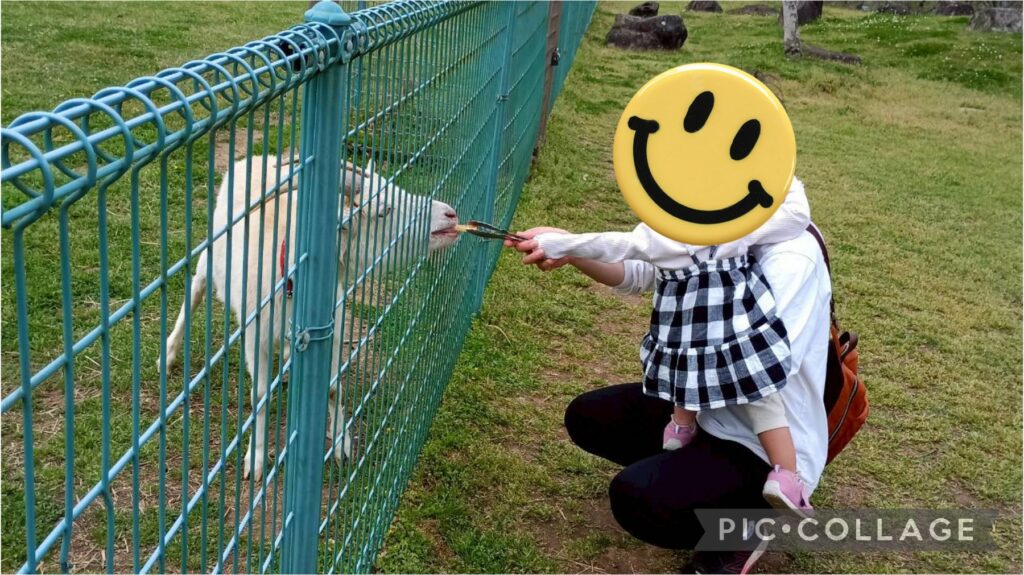るるパーク　子連れ　