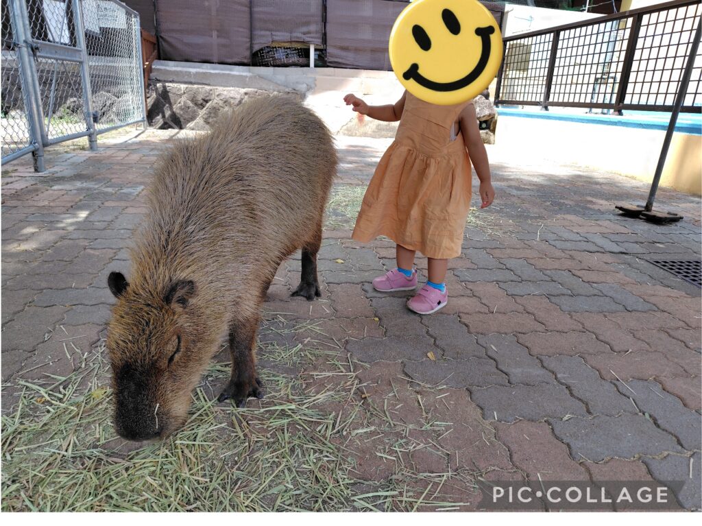 別府ラクテンチ　子連れ